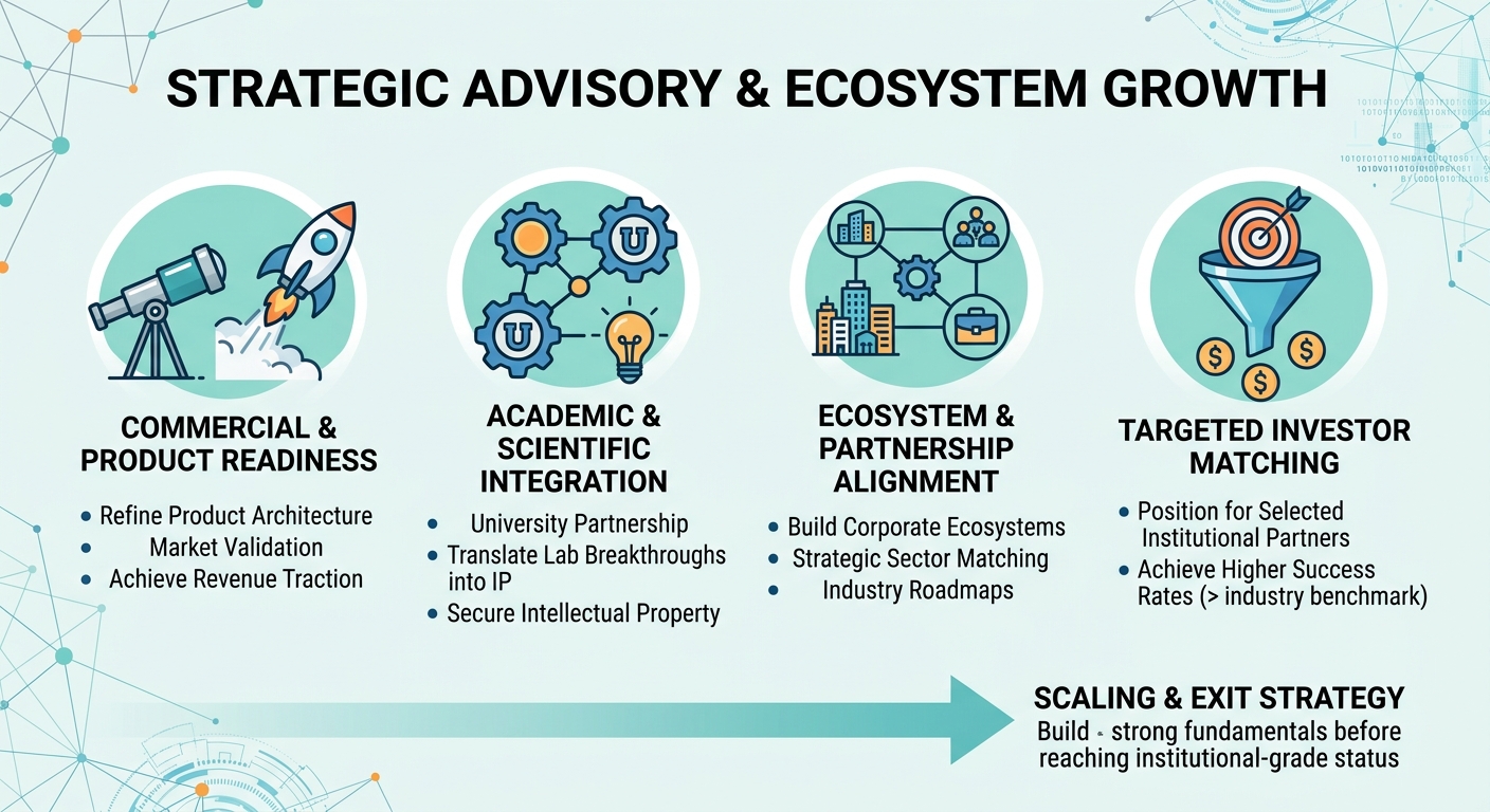 Strategic Advisory Beyond Traditional Venture Capital for Scale-Ups and Research Spin-Outs United Kingdom